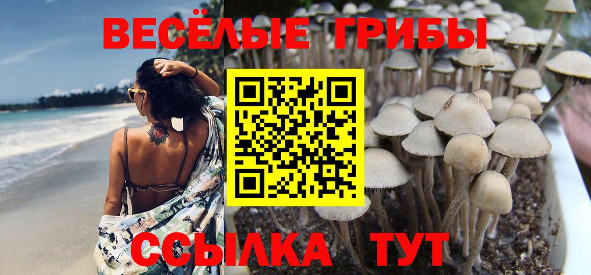 Галлюциногенные грибы мицелий  Галлюциногенные грибы GOLDEN TEACHER  Вход с VPN  Вичуга 